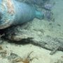 Surrounded by wooden remains, this 24-pounder bronze cannon, C13 from Area D on the wreck of the first-rate warship HMS Victory, was looted from the site in 2011. 